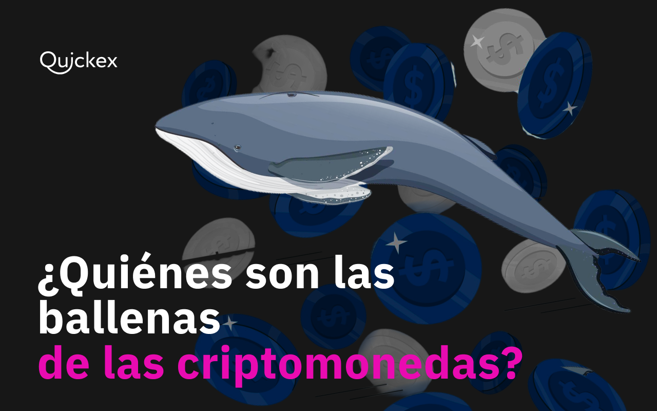 ¿Quiénes son las ballenas en el mundo de las criptomonedas y cómo seguir a los grandes jugadores del mercado?