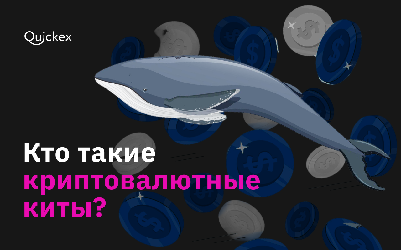 Кто такие киты в криптовалюте и как следить за крупными игроками на рынке?