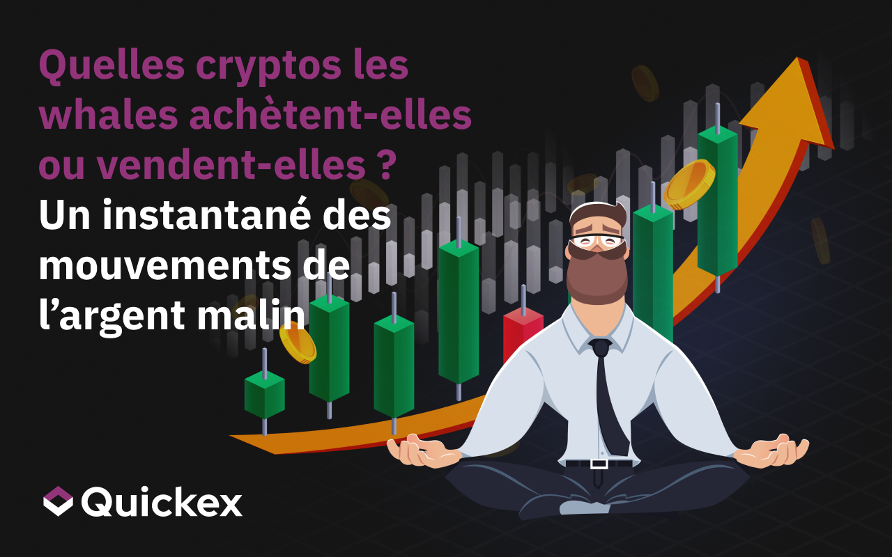 Quelles sont les pièces achetées et vendues par les baleines ? Un aperçu des mouvements d’argent intelligents