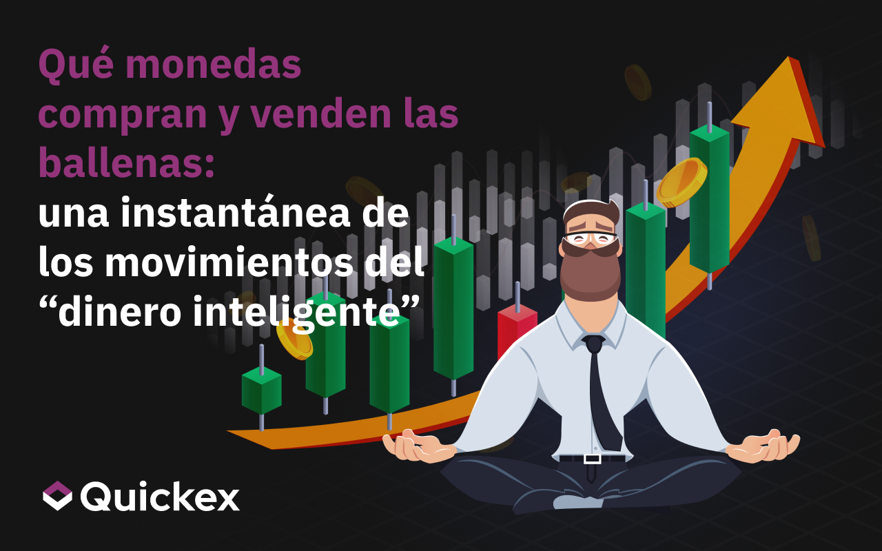 Qué monedas compran y venden los cetáceos: una instantánea de los movimientos del dinero inteligente