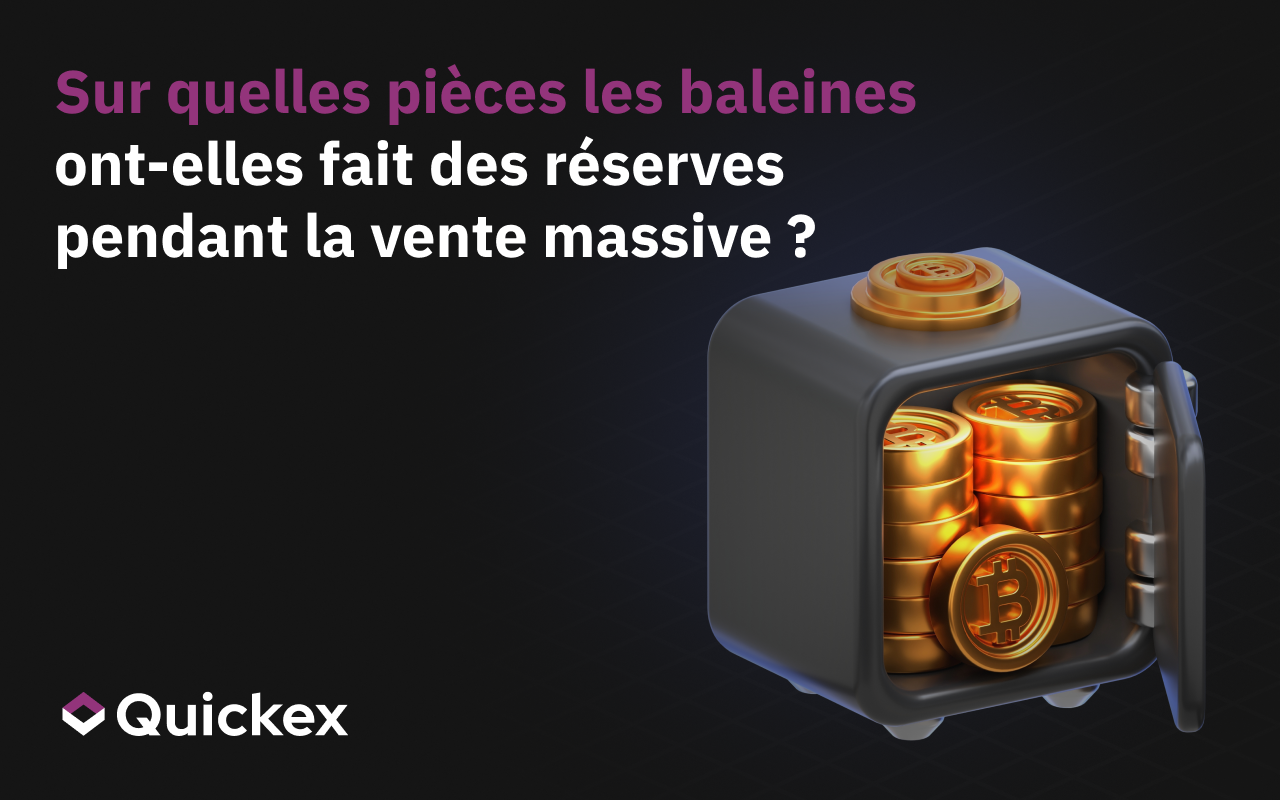Quelles sont les pièces de monnaie que les baleines ont achetées pendant la période de liquidation ?