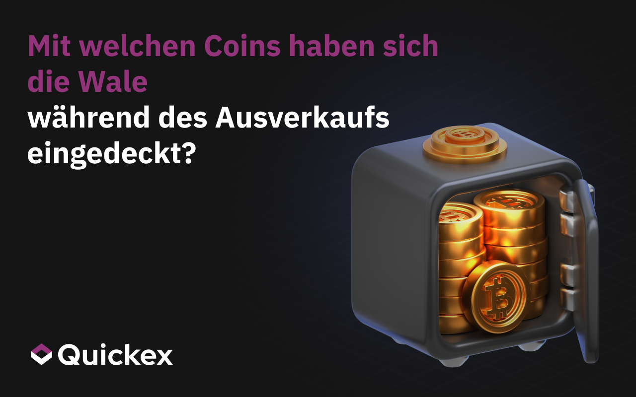 Mit welchen Münzen sich die Wale während des Ausverkaufs eingedeckt haben