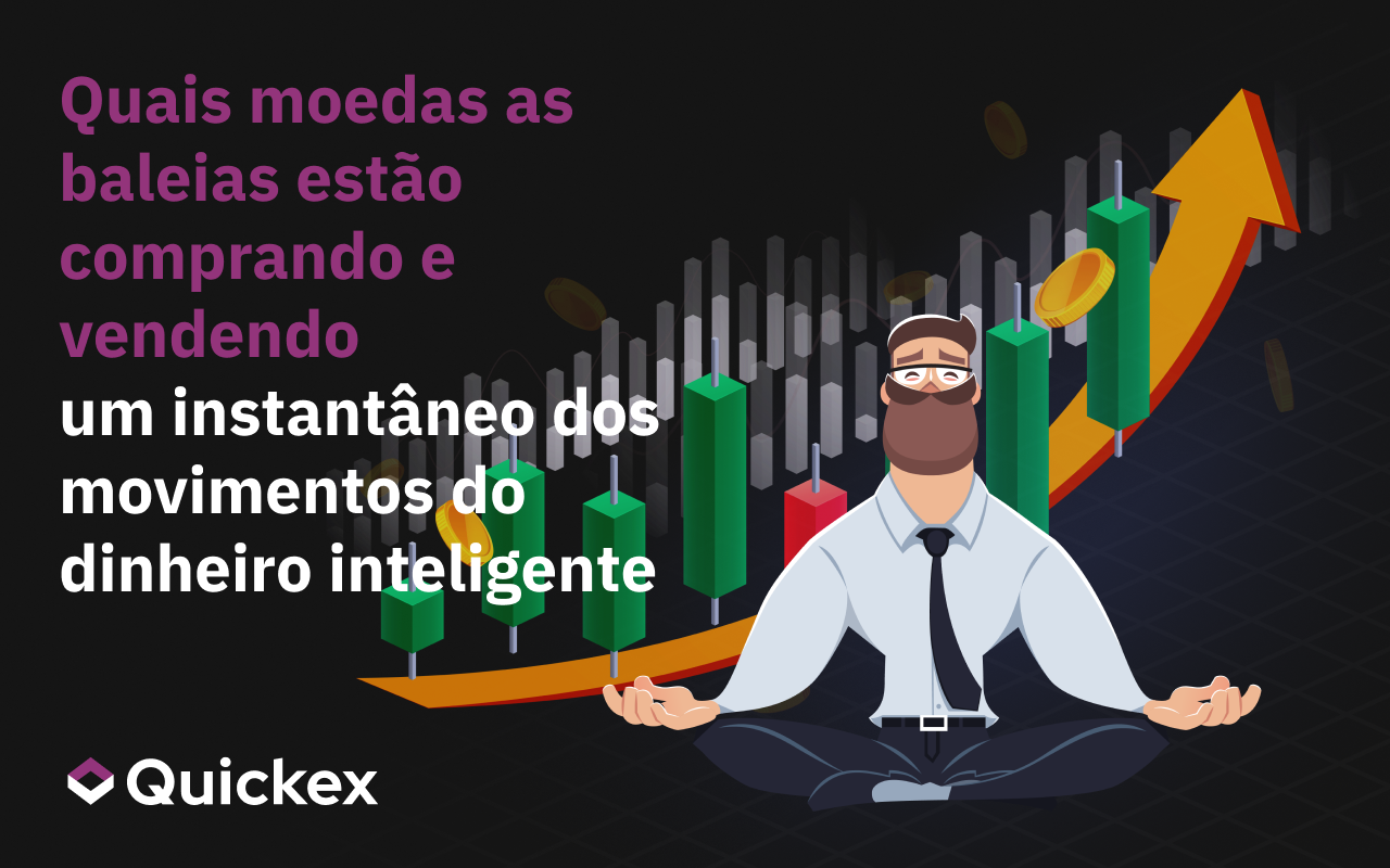 Que moedas as baleias estão a comprar e a vender – Um instantâneo dos movimentos inteligentes do dinheiro