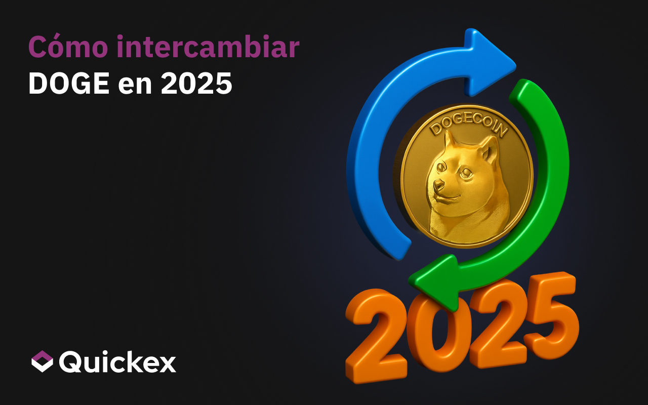 Bolsa DOGE – una guía completa
