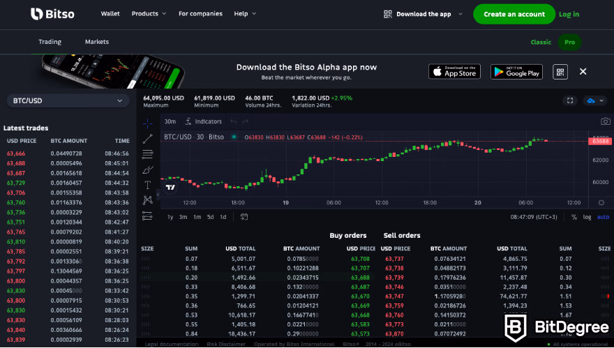Source: BitDegree
