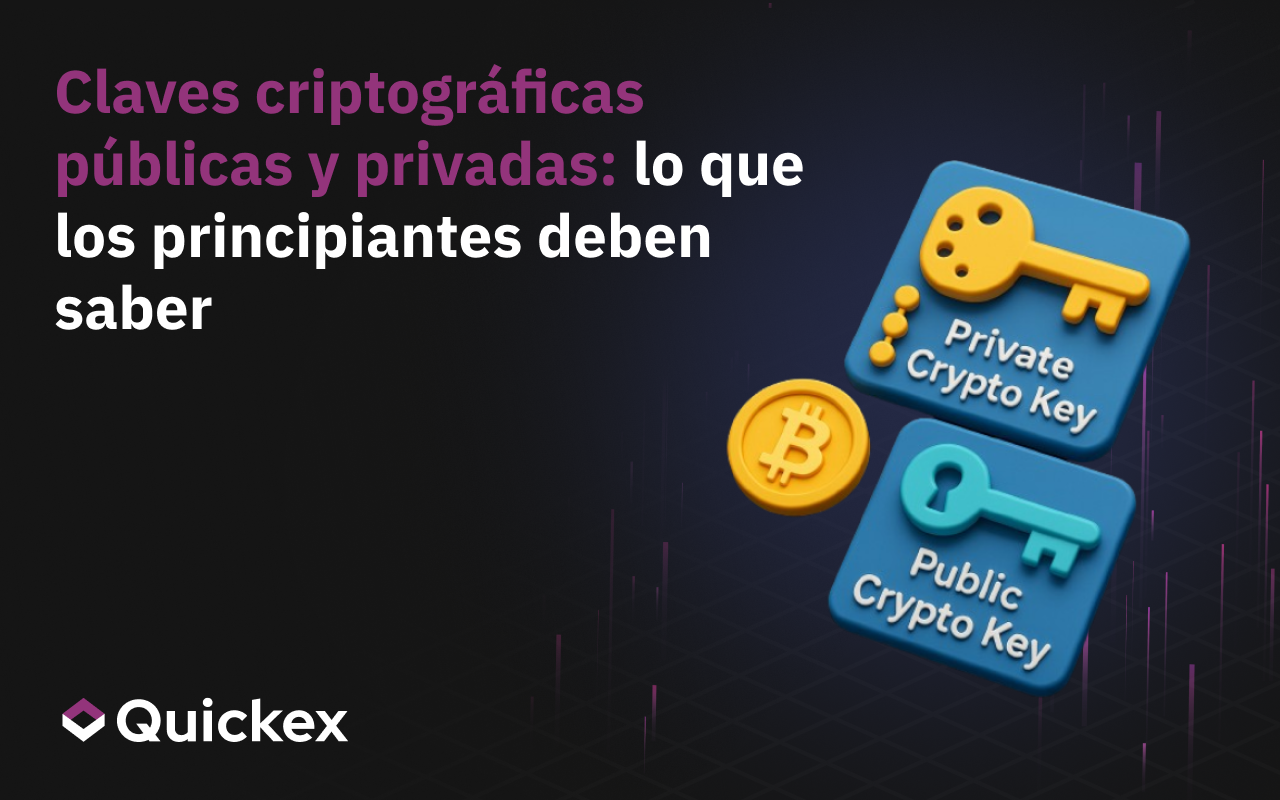 Claves Cripto Privadas Y Públicas: Lo Que Los Principiantes Deben Saber