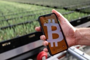 BTC mining