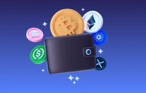 Choosing a Wallet