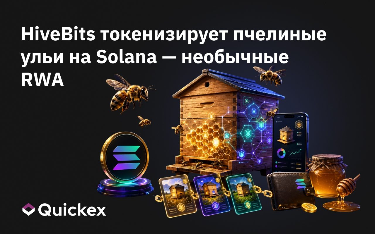 Пчёлы на блокчейне: сербский стартап токенизирует настоящие ульи на Solana — и странный мир необычных RWA